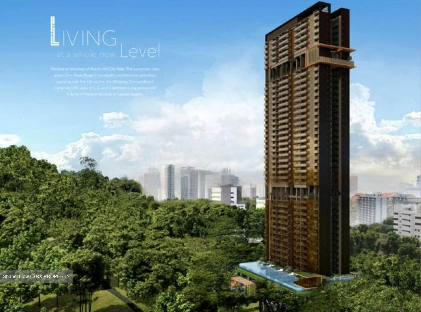 The Landmark (D3), Condominium #463724291